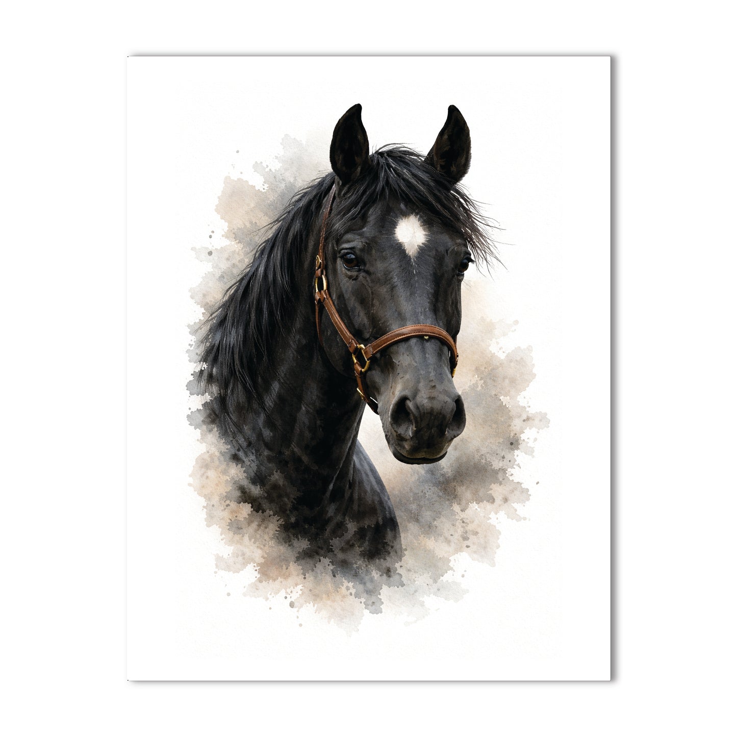 American Quarter Horse Black Blank Note Card Set of 10