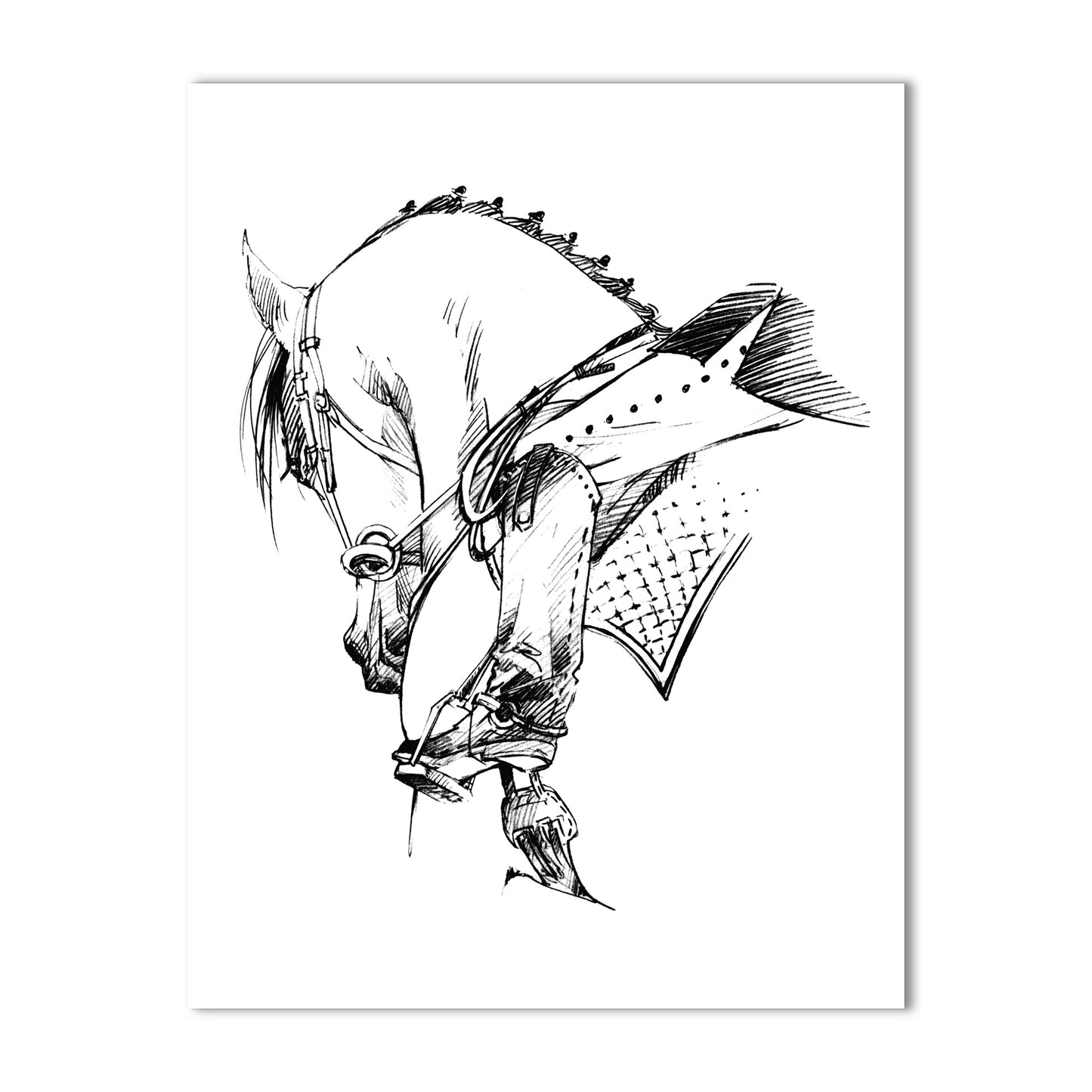 Dressage Equestrian Watercolor Note Card Collection – Boxed Set of 10, A2 4.25" x 5.5"