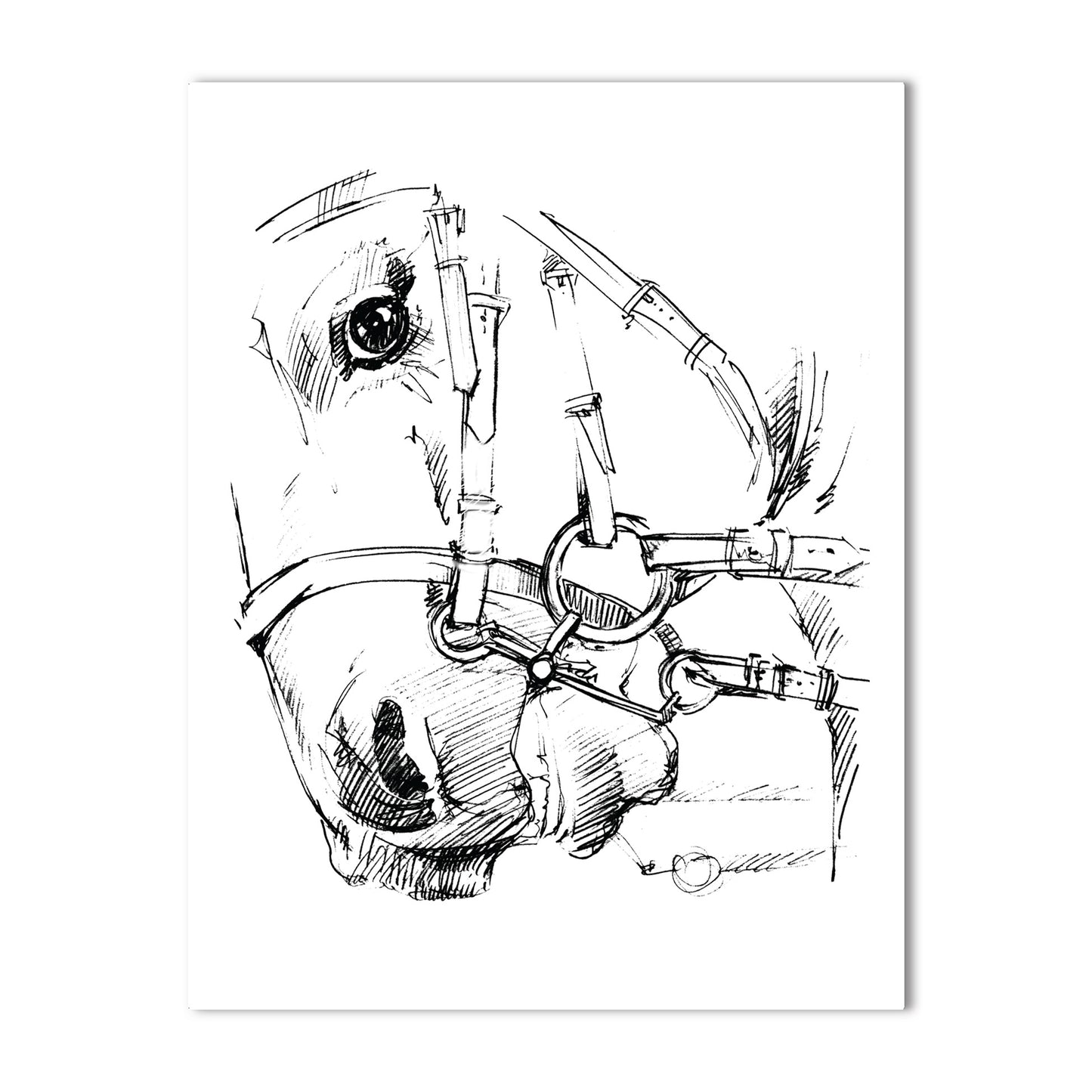 Dressage Equestrian Watercolor Note Card Collection – Boxed Set of 10, A2 4.25" x 5.5"