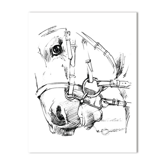 Equestrian Sketch Horse Head Note Card – Single Note Card A2 (4.25" x 5.5")