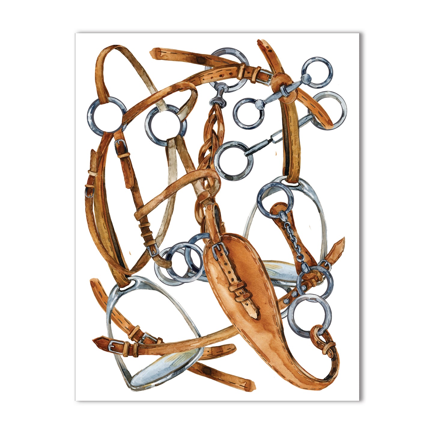 Dressage Equestrian Watercolor Note Card Collection – Boxed Set of 10, A2 4.25" x 5.5"