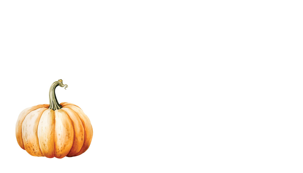 Single pumpkin on a white background
