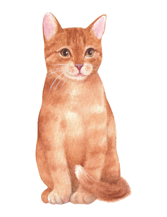Illustration of a sitting orange cat on a white background
