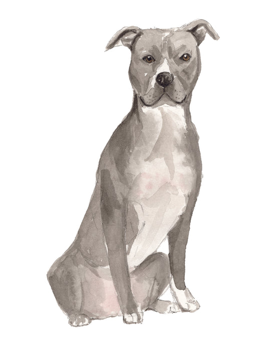 Artistic illustration of a dog sitting on a white background