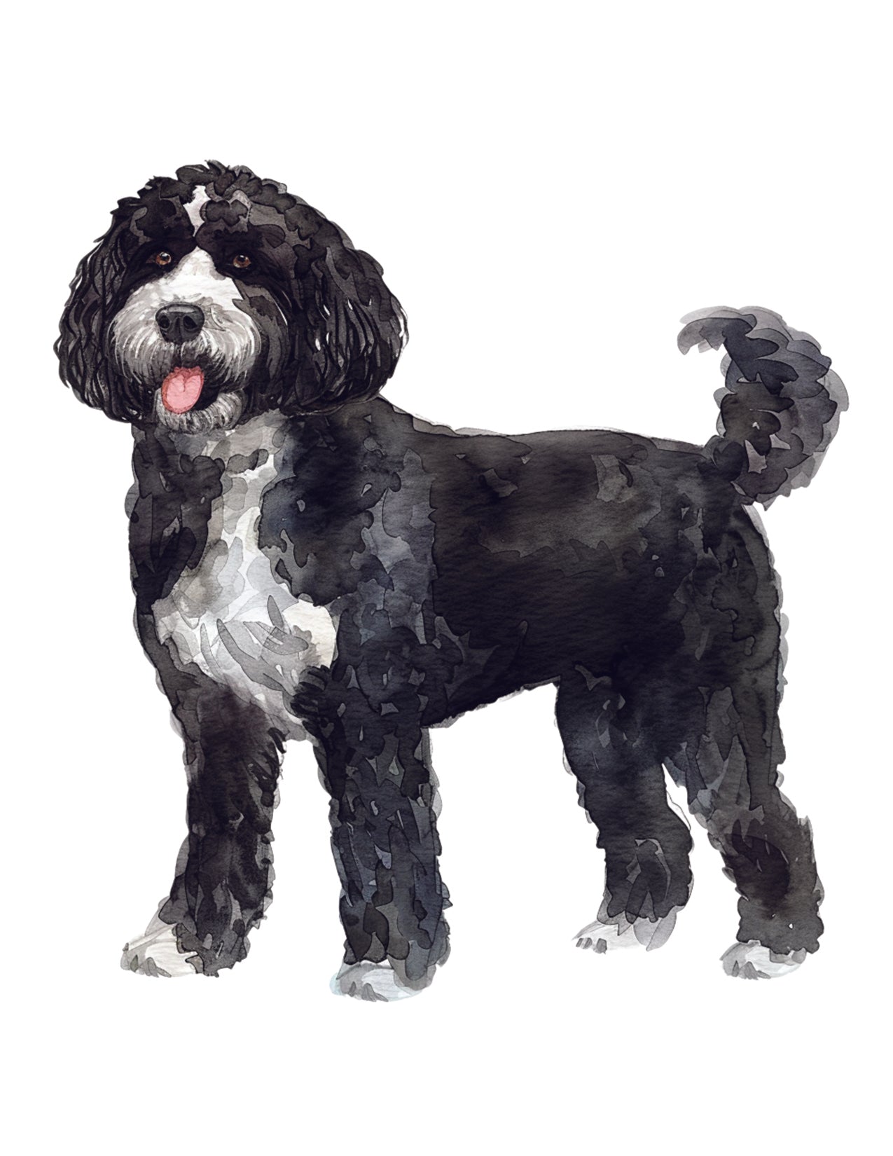 Illustration of a black and white dog on a white background