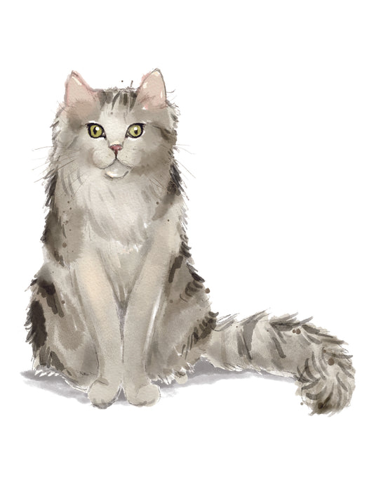 Illustration of a gray and white cat with green eyes on a white background