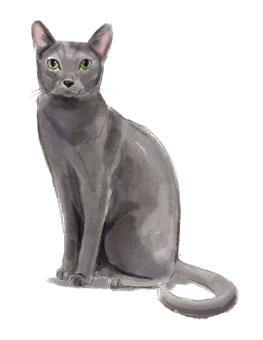 Gray cat figurine on a white background