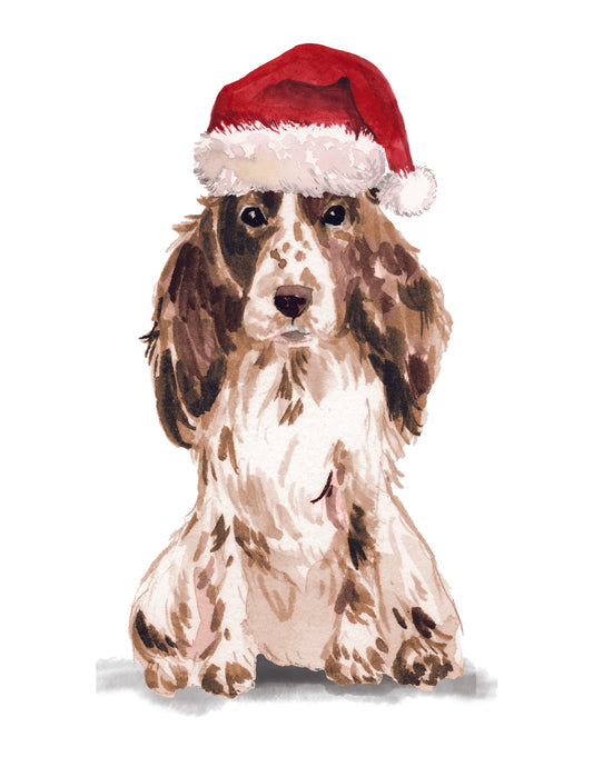 Cocker Spaniel wearing a Santa hat on a white background