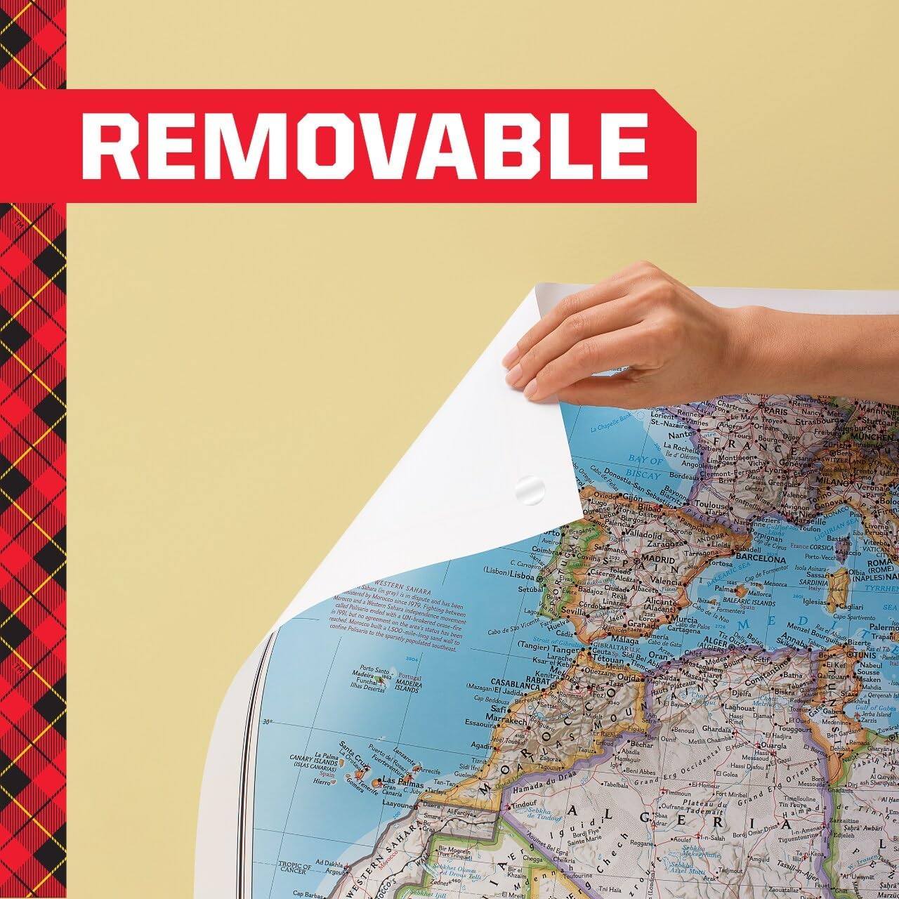 Scotch Removable Poster Tape