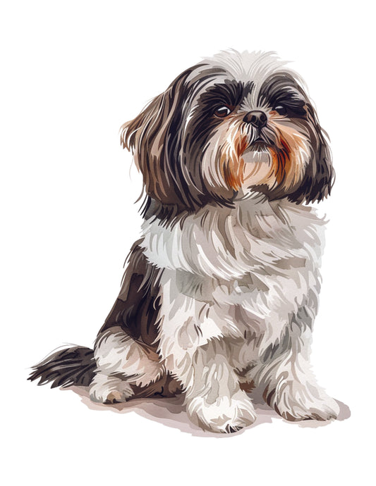 Illustration of a dog with a white, black, and brown coat on a white background
