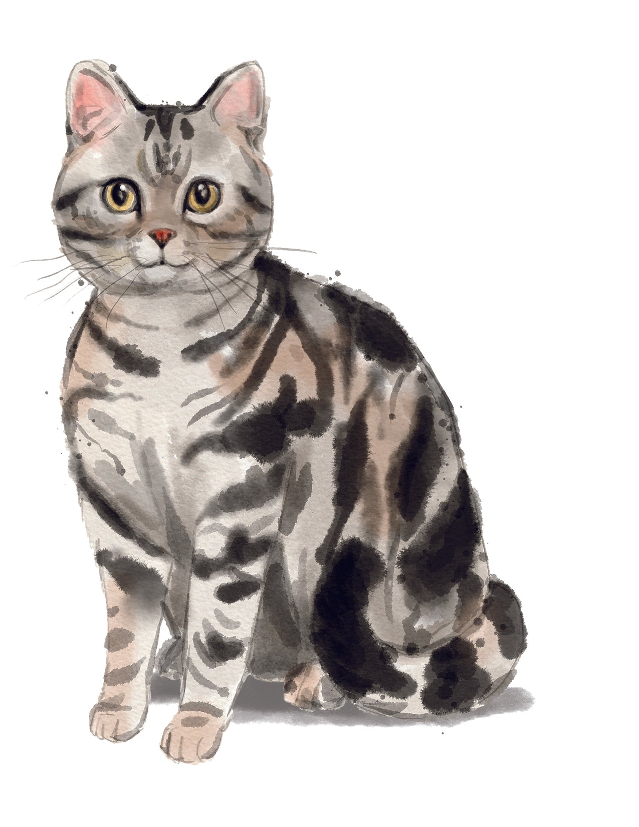 Illustration of a gray and black striped cat on a white background