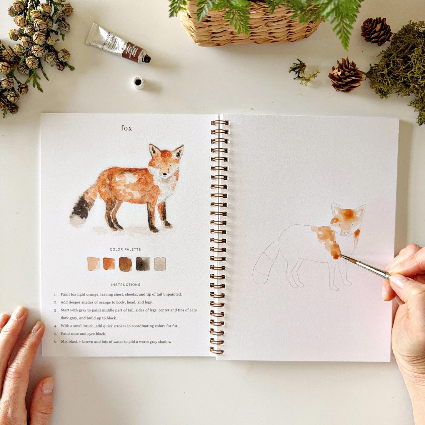 Emily Lex Woodland Watercolor Workbook