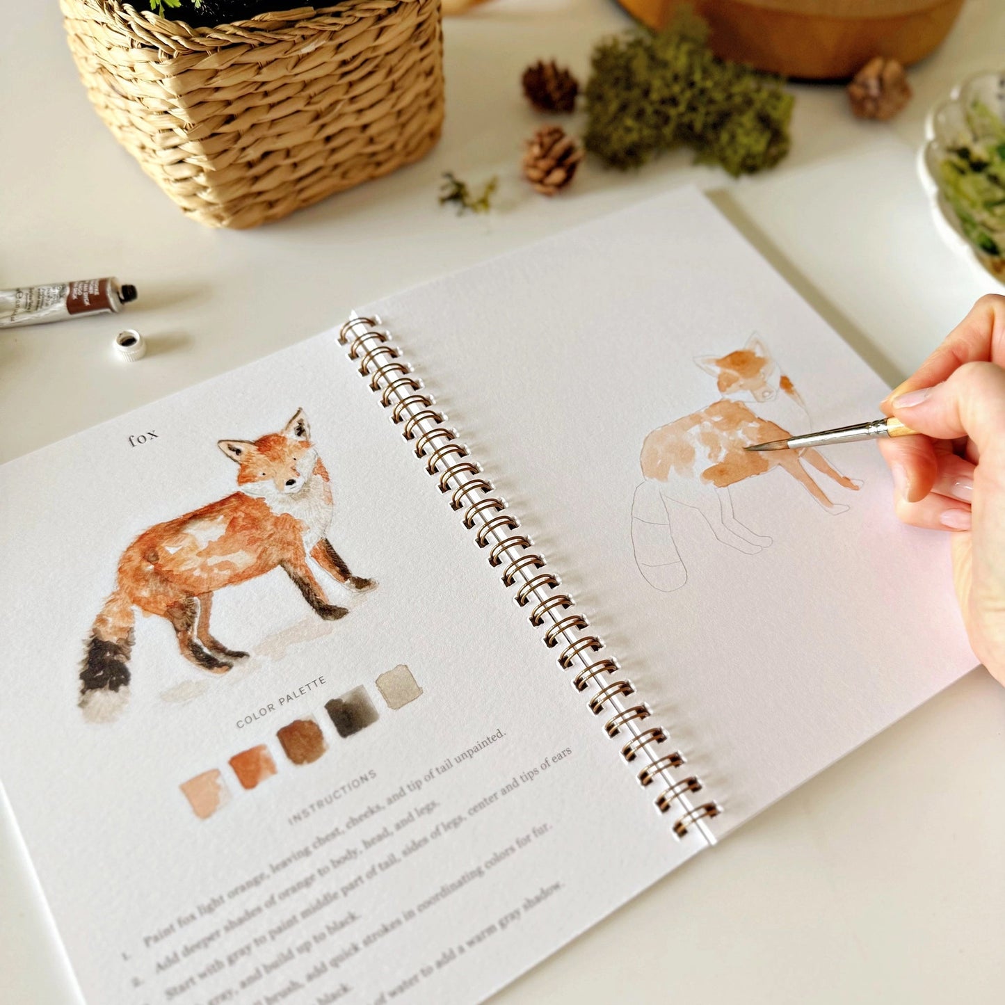 Emily Lex Woodland Watercolor Workbook