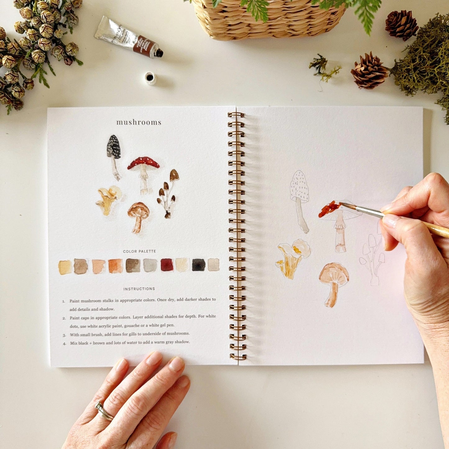 Emily Lex Woodland Watercolor Workbook