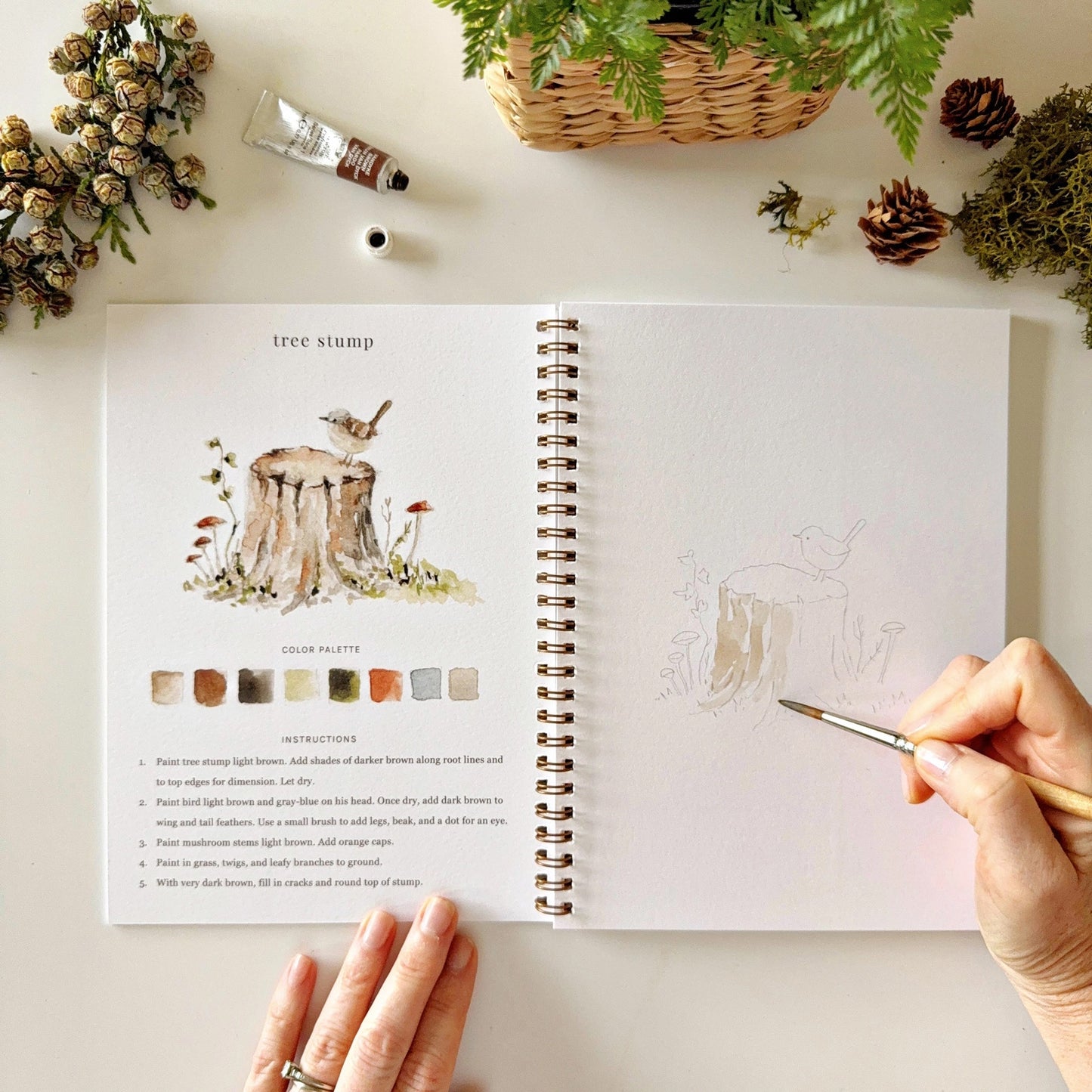 Emily Lex Woodland Watercolor Workbook