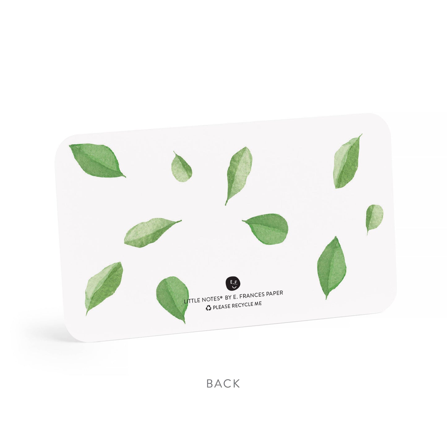 Ladybugs Little Notes® NEW 55 Count