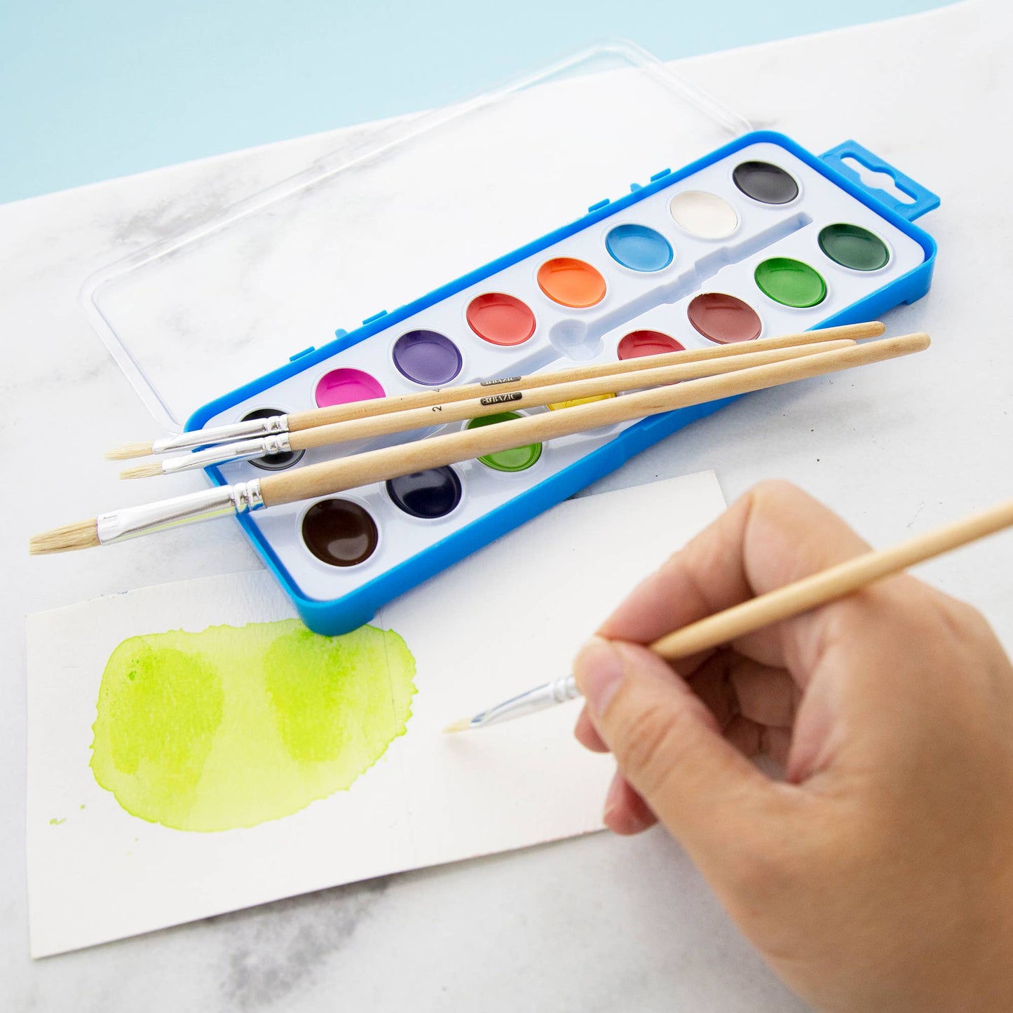 Paint Brush Flat Natural Bristle (9/Pack)