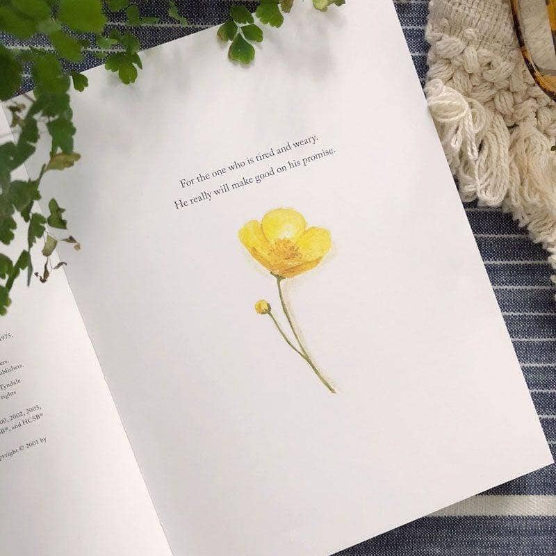 Freely & Lightly, God's Gracious Invitation to a Life of Quiet Confidence, by Emily Lex