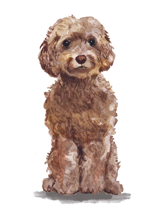 Illustration of a brown dog sitting on a white background
