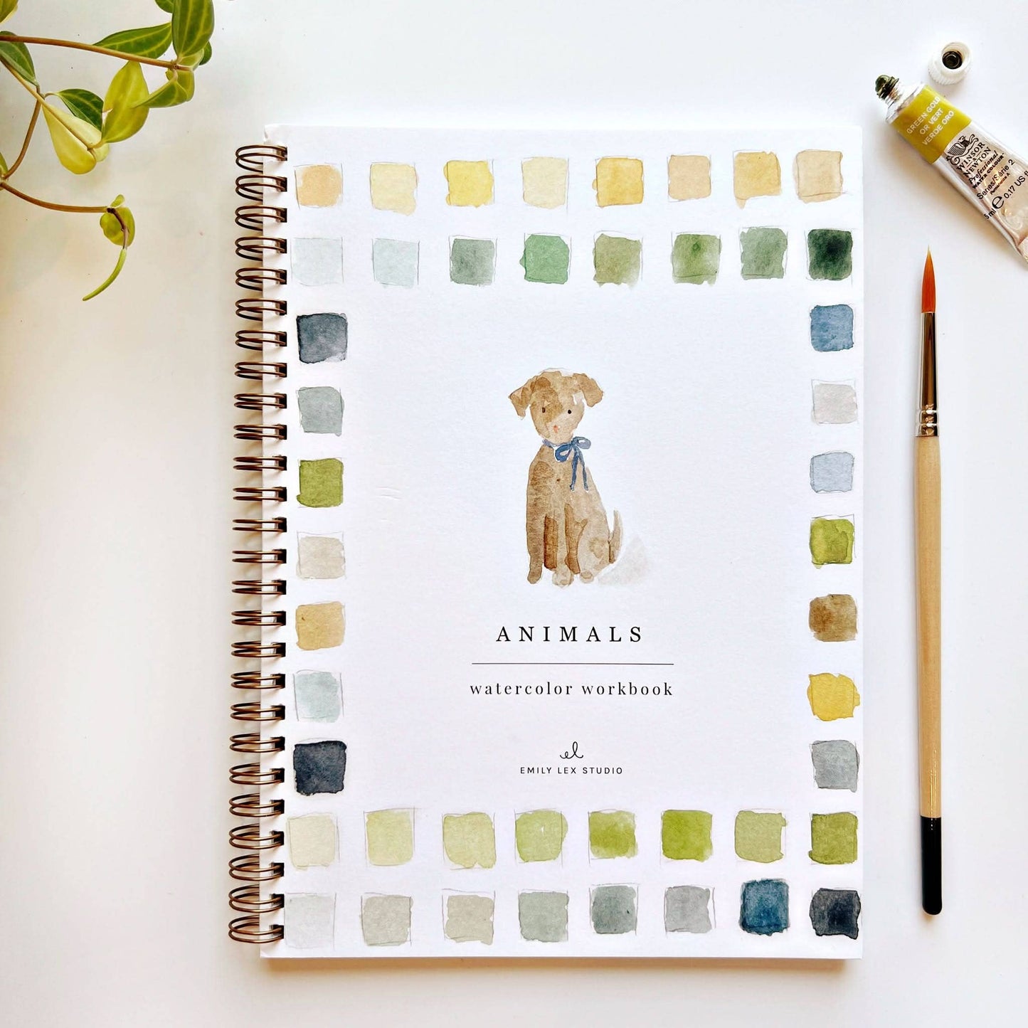 Emily Lex Animals Watercolor Workbook