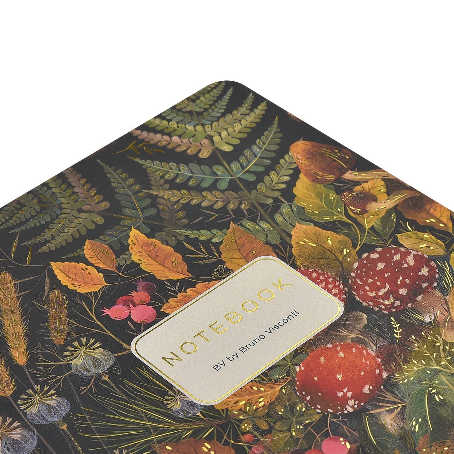 A-5 Notebook- Forest Mushrooms