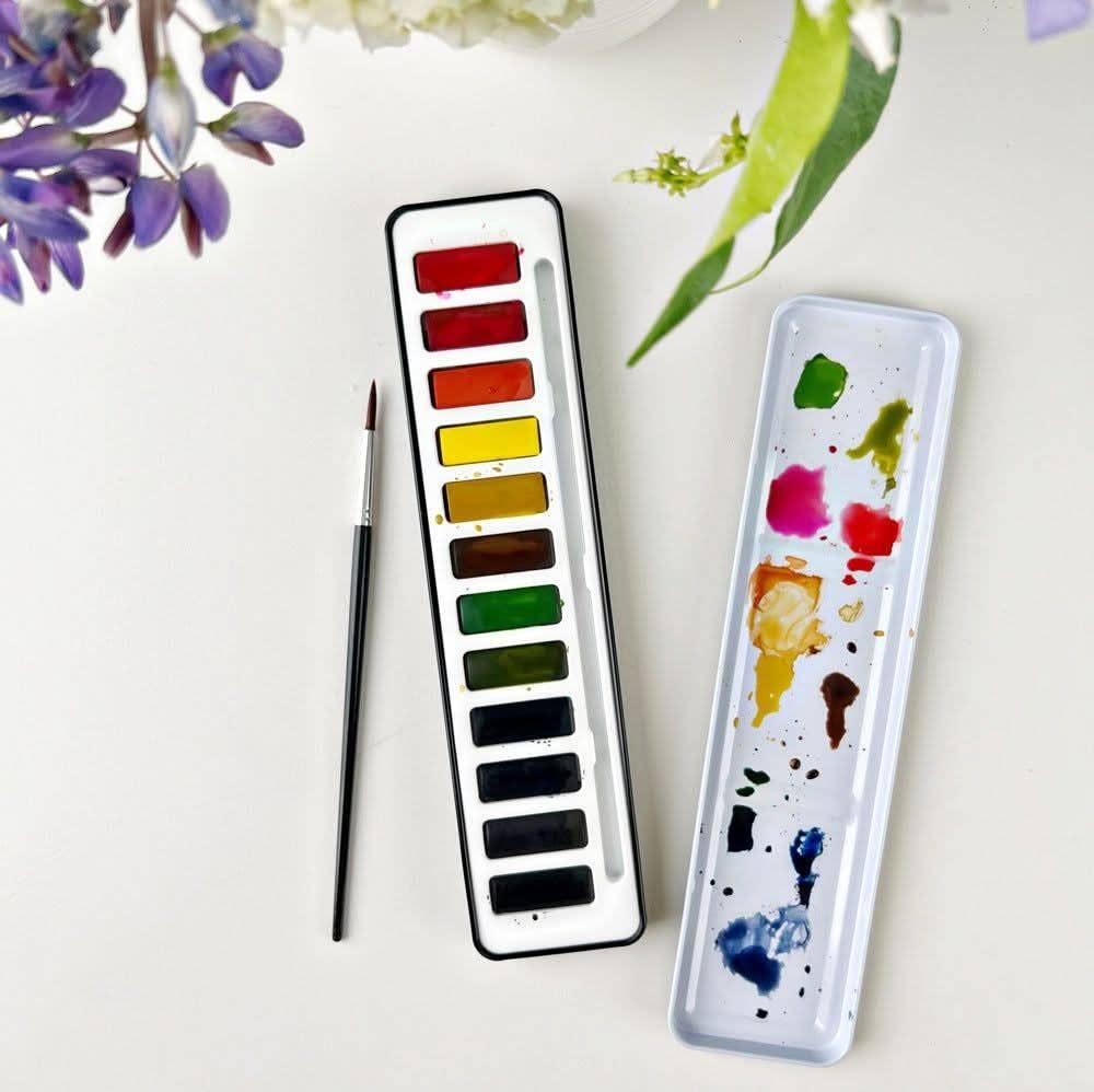 Emily Lex Watercolor Paint Set 12 colors